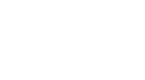 Nos années 20 logo