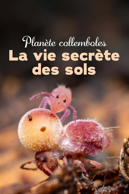 Springtails: The hidden soldiers of Earth