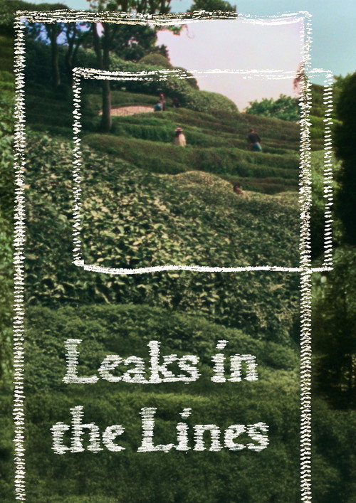 Leaks in the Lines