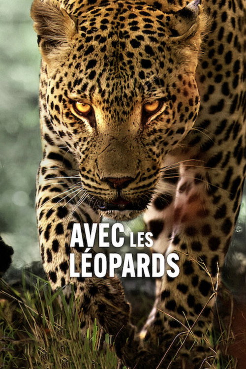 Avec les léopards
