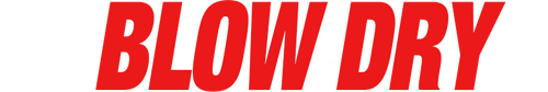 Blow Dry logo