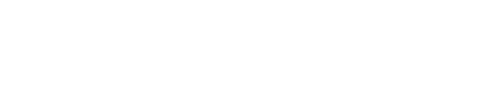 Les Diamants d'Anvers : Un casse presque parfait logo