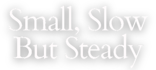 Small, Slow But Steady logo
