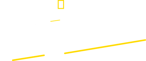 Le Monde selon Jeff Goldblum logo