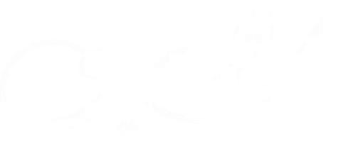 The Price logo