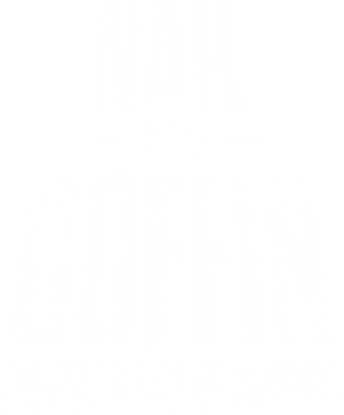 Nail in the Coffin: The Fall and Rise of Vampiro logo
