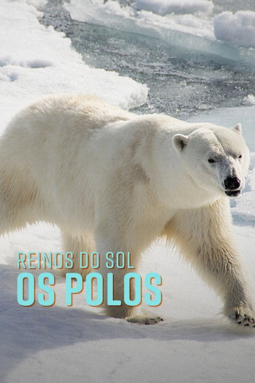 Polar: Kingdoms of the Sun