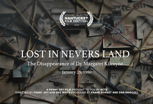 Lost in Nevers Land logo