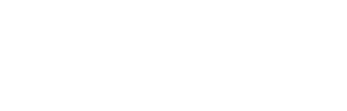 Boyhood logo