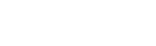 Sk8erboi logo