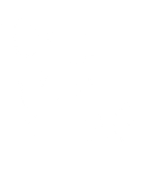 One Last Fling logo