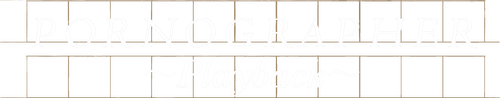 The Novelist : Playback logo