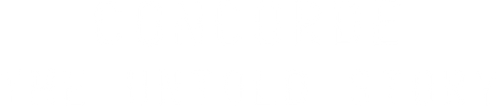 Concorde : L'histoire inédite logo