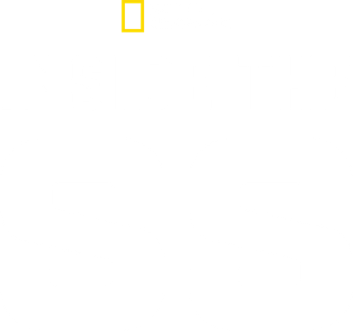 Inside the SS logo