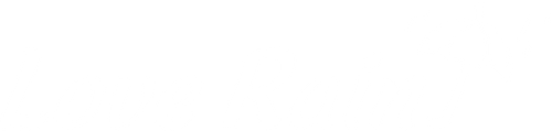 Love Rain logo
