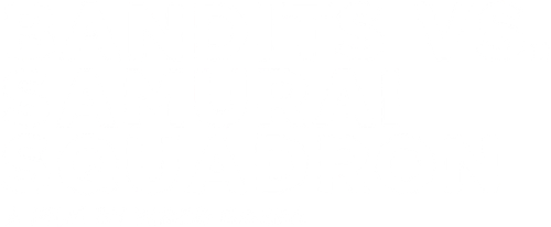 Bandits vs. Samurai Squadron logo
