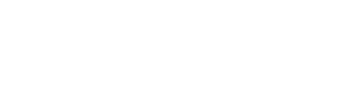 Never Have I Ever logo