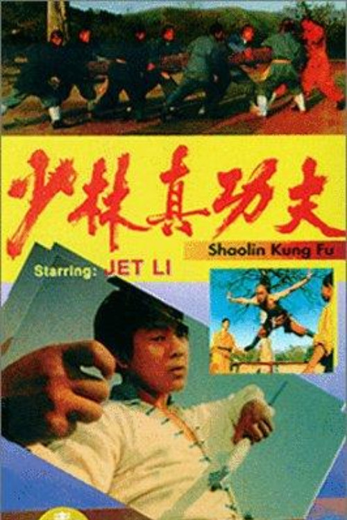 少林真功夫