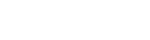 Dhadkan logo