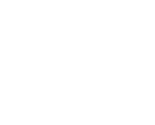 12 logo