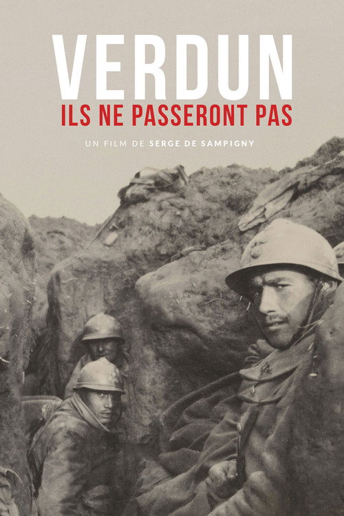 Verdun, ils ne passeront pas
