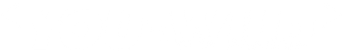 You vs. Wild logo