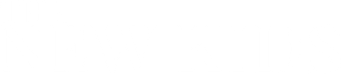 The New Kids logo