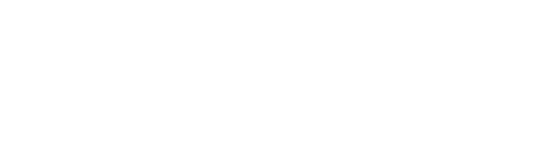 Little Disasters logo