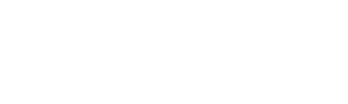 Next Day Air logo