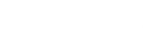 Agent Stone logo