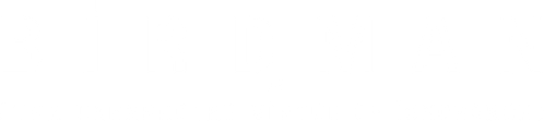 Birdman or (The Unexpected Virtue of Ignorance) logo