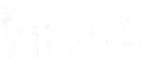 Pistol logo