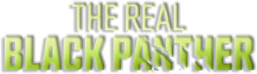 The Real Black Panther logo