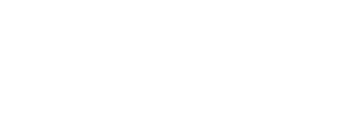A Night with Moosina logo