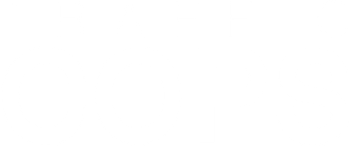Traffic Cops logo