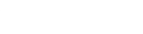 Céline Dion à l’Eurovision, la note parfaite logo