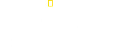 Dino Death Match logo