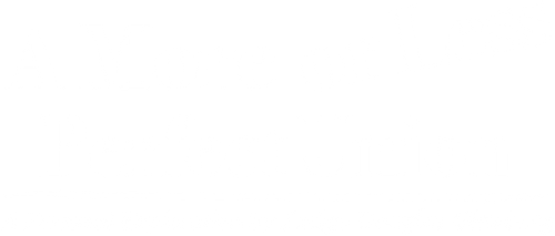 A More or Less Perfect Union logo