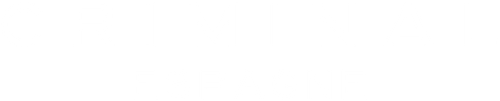 Criminal: Espagne logo