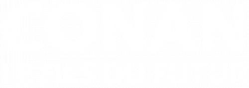 Conan le fils du futur logo