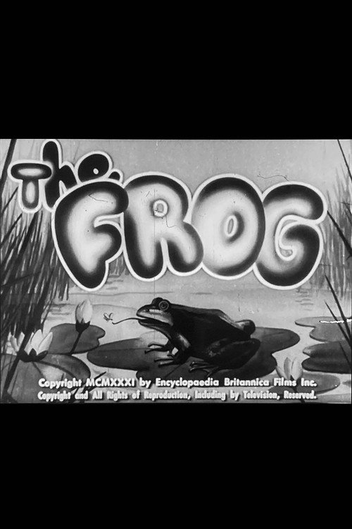 The Frog