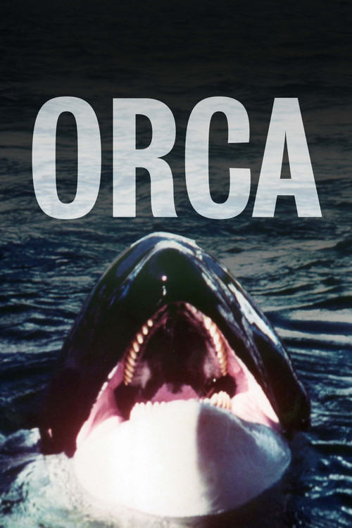 Orca
