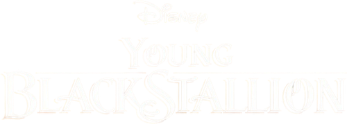 Young Black Stallion logo