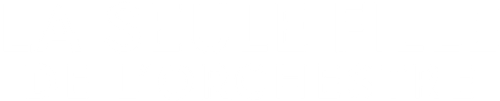 La Seule Fille de l'orchestre logo