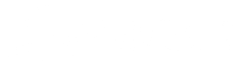 Connect logo