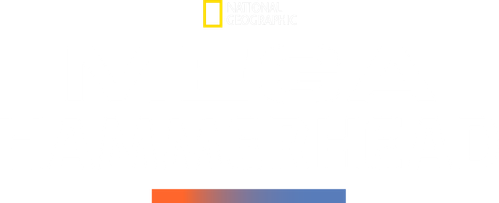 Mega Hammerhead logo