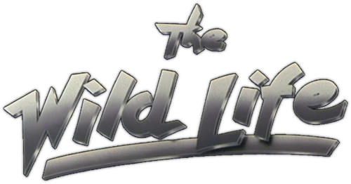 Attention délires ! logo