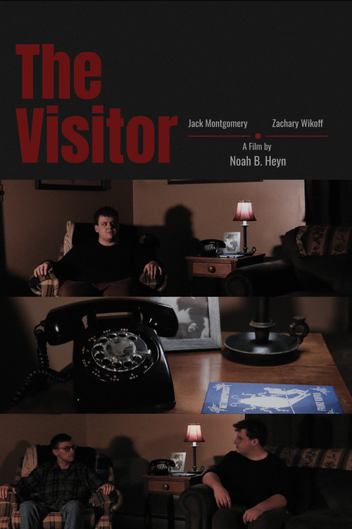 The Visitor