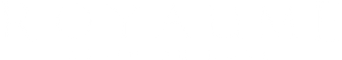Kingdom: Ashin of the North logo