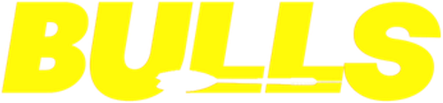 Bulls logo